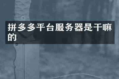 拼多多平台服务器是干嘛的