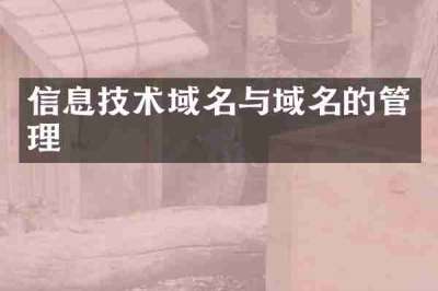 信息技术域名与域名的管理
