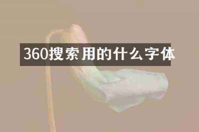 360搜索用的什么字体