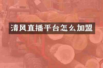 清风直播平台怎么加盟