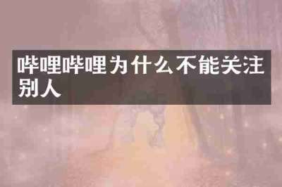 哔哩哔哩为什么不能关注别人
