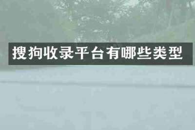 搜狗收录平台有哪些类型