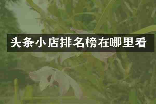 头条小店排名榜在哪里看
