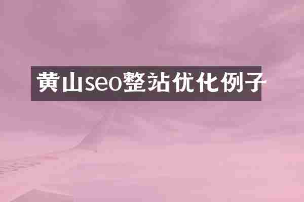 黄山seo整站优化例子
