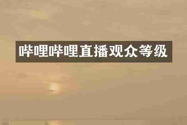 哔哩哔哩直播观众等级