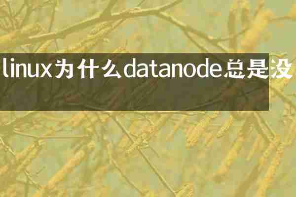 linux为什么datanode总是没有