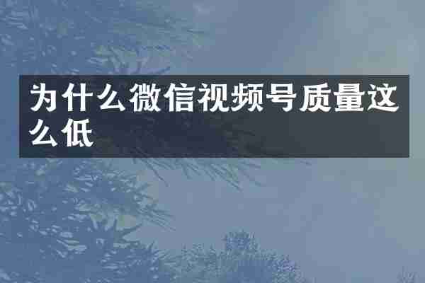 为什么微信视频号质量这么低