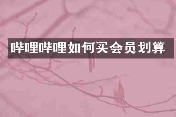 哔哩哔哩如何买会员划算
