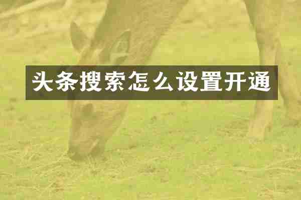 头条搜索怎么设置开通