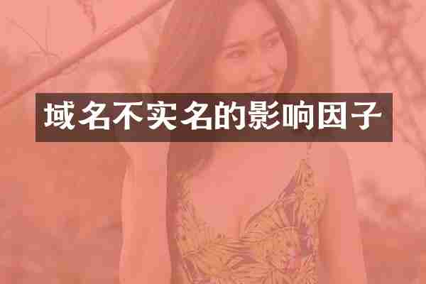 域名不实名的影响因子