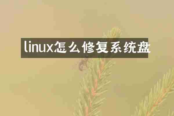 linux怎么修复系统盘