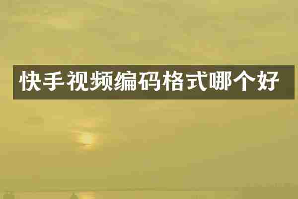 快手视频编码格式哪个好