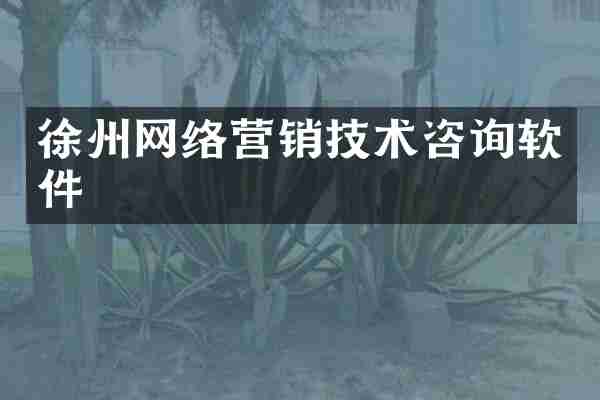 徐州网络营销技术咨询软件