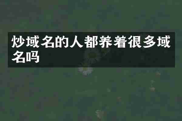炒域名的人都养着很多域名吗