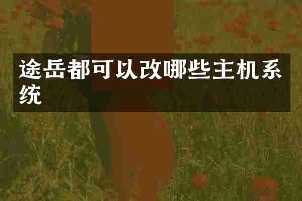 途岳都可以改哪些主机系统