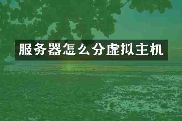 服务器怎么分虚拟主机