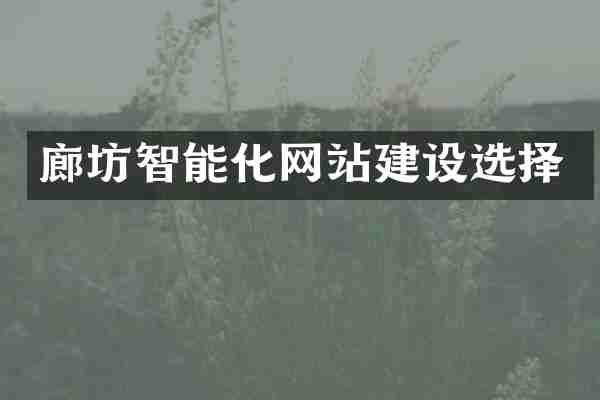 廊坊智能化网站建设选择