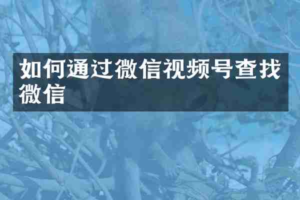 如何通过微信视频号查找微信