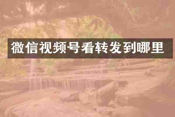 微信视频号看转发到哪里