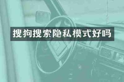 搜狗搜索隐私模式好吗