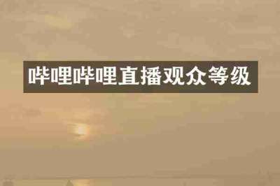 哔哩哔哩直播观众等级