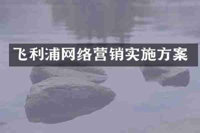 飞利浦网络营销实施方案