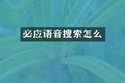 必应语音搜索怎么