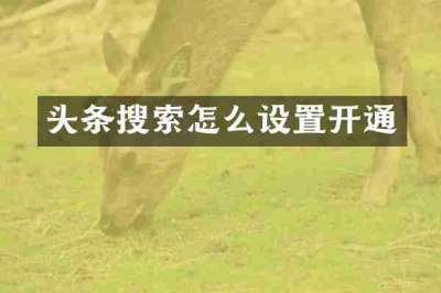头条搜索怎么设置开通