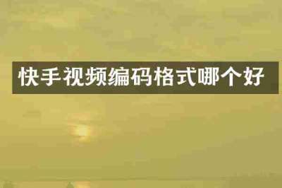 快手视频编码格式哪个好