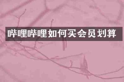 哔哩哔哩如何买会员划算
