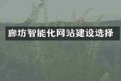 廊坊智能化网站建设选择