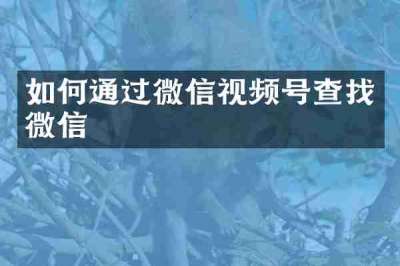 如何通过微信视频号查找微信