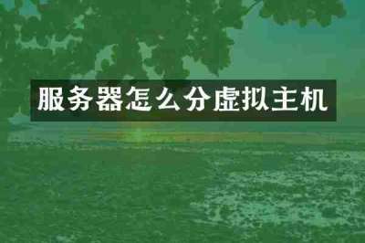 服务器怎么分虚拟主机