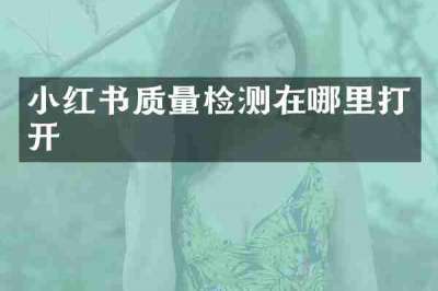 小红书质量检测在哪里打开