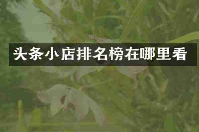 头条小店排名榜在哪里看