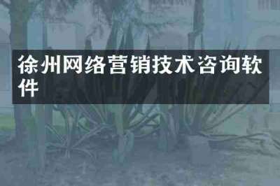 徐州网络营销技术咨询软件