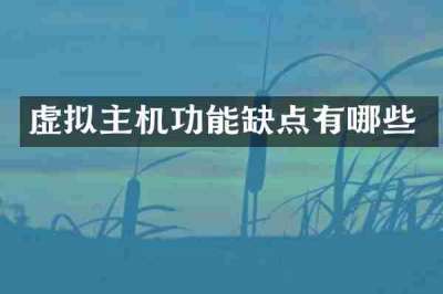 虚拟主机功能缺点有哪些