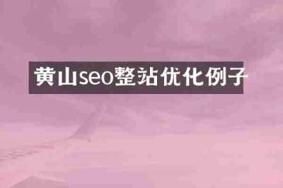 黄山seo整站优化例子