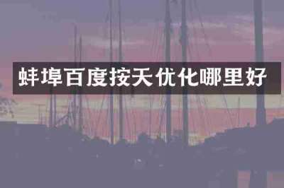 蚌埠百度按天优化哪里好