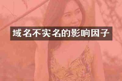 域名不实名的影响因子