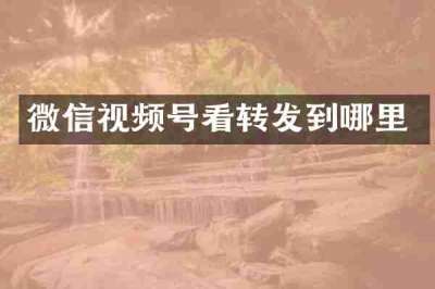 微信视频号看转发到哪里