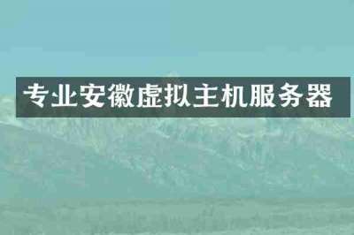 专业安徽虚拟主机服务器