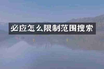 必应怎么限制范围搜索