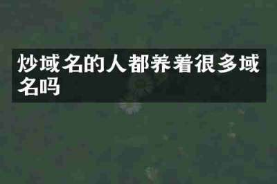 炒域名的人都养着很多域名吗