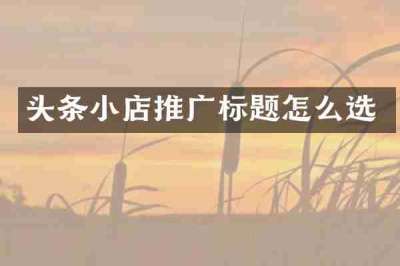 头条小店推广标题怎么选