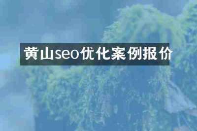 黄山seo优化案例报价