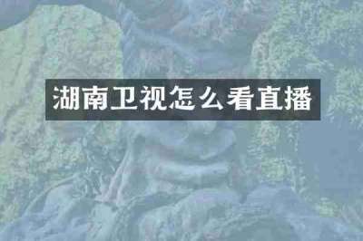 湖南卫视怎么看直播