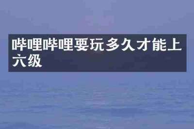 哔哩哔哩要玩多久才能上六级