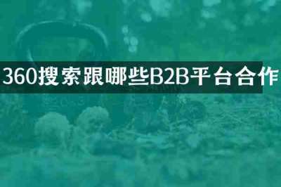 360搜索跟哪些B2B平台合作