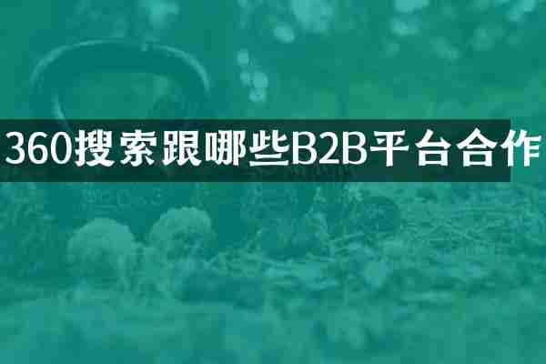 360搜索跟哪些B2B平台合作